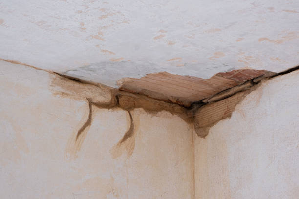 Water damage restoration experts in Camarillo, CA