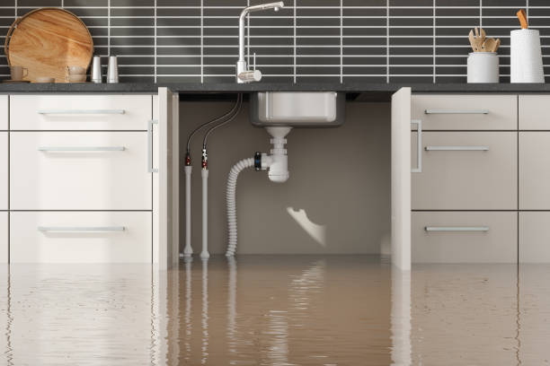 Best Water damage restoration process  in Marillo, CA